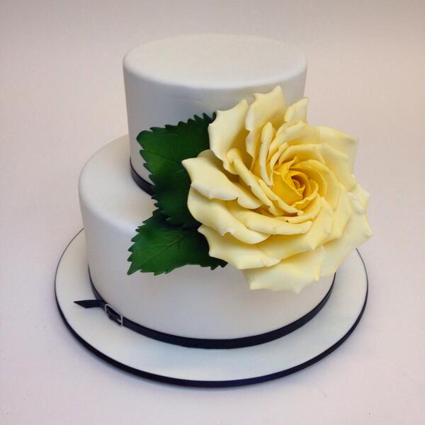 2 tier cake with 1 big white rose